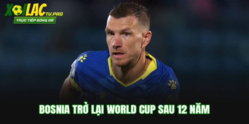 Bosnia trở lại World Cup sau 12 năm