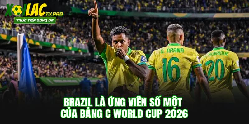 Brazil là ứng viên số một của bảng C World Cup 2026