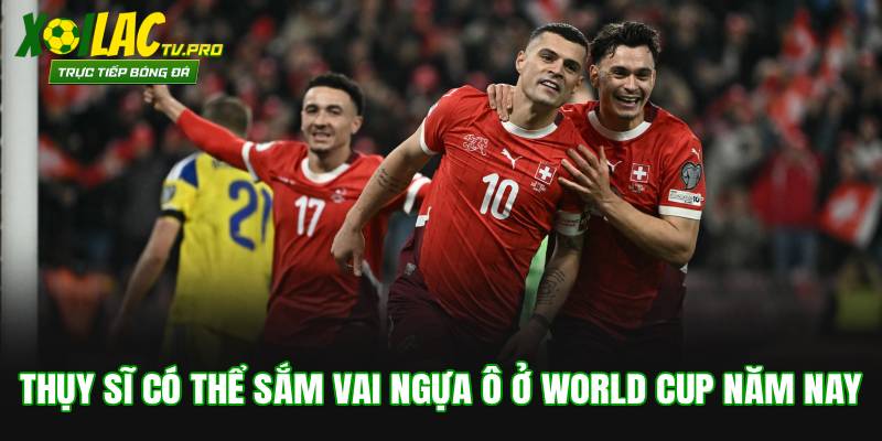 Thụy Sĩ có thể sắm vai ngựa ô ở World Cup năm nay