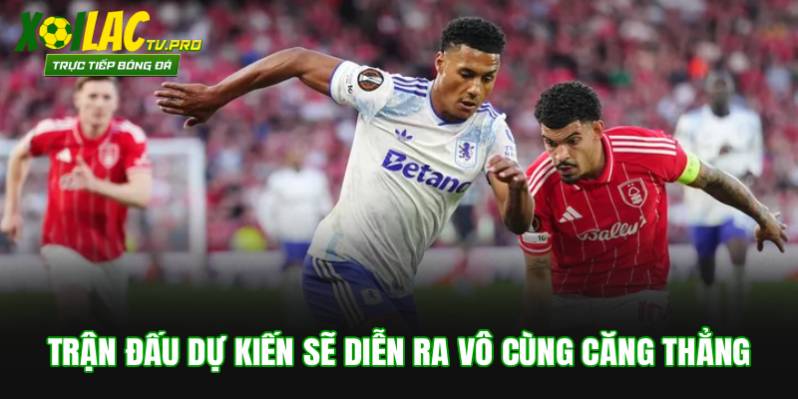 Trận đấu dự kiến sẽ diễn ra vô cùng căng thẳng